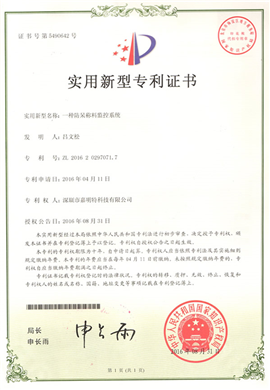 Utility model patent - a kind of anti dead weighing monitoring system